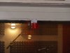 P1020812e.jpg